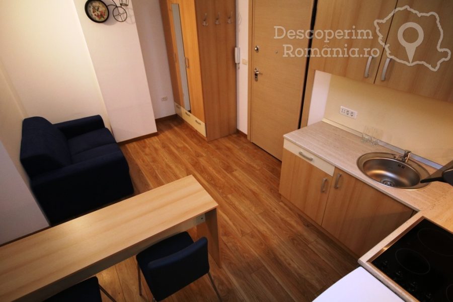 Apartament-Studio-Confort-Timișoara-din-Timișoara-Banat-21-900x600 Apartament Studio Confort Timișoara din Timișoara, Banat (21)