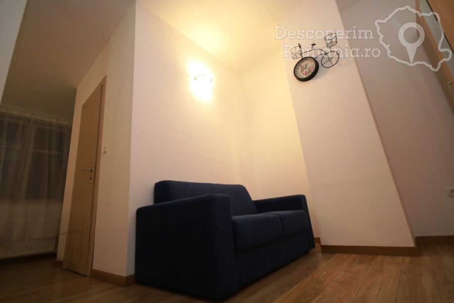 Apartament-Studio-Confort-Timișoara-din-Timișoara-Banat-22-900x600 Apartament Studio Confort Timișoara din Timișoara, Banat (22)