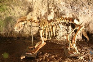 Excursie-Cazanele-Dunarii-Hunedoara-Circuite-turistice-DescoperimRomania.ro-9-300x200 Excursie Cazanele Dunarii - Hunedoara - Circuite turistice - DescoperimRomania.ro (9)