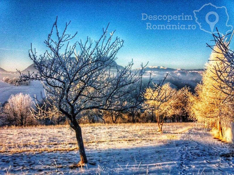 Poiana-Mărului-un-loc-de-poveste-2-800x600 Poiana Mărului - un loc de poveste 2