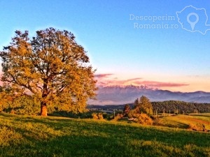 Poiana-Mărului-un-loc-de-poveste-5-300x225 Poiana Mărului - un loc de poveste 5