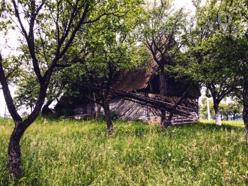 Poiana-Mărului-un-loc-de-poveste-6-800x600 Poiana Mărului - un loc de poveste 6