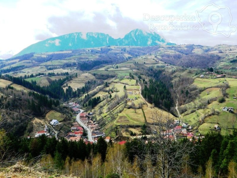 Poiana-Mărului-un-loc-de-poveste-7-800x600 Poiana Mărului - un loc de poveste 7