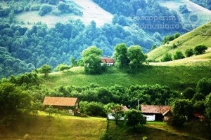 Poiana-Mărului-un-loc-de-poveste-8-300x200 Poiana Mărului - un loc de poveste 8
