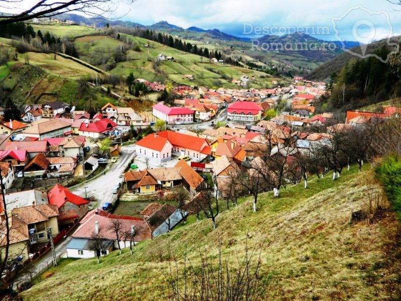 Poiana-Mărului-un-loc-de-poveste-800x600 Poiana Mărului - un loc de poveste
