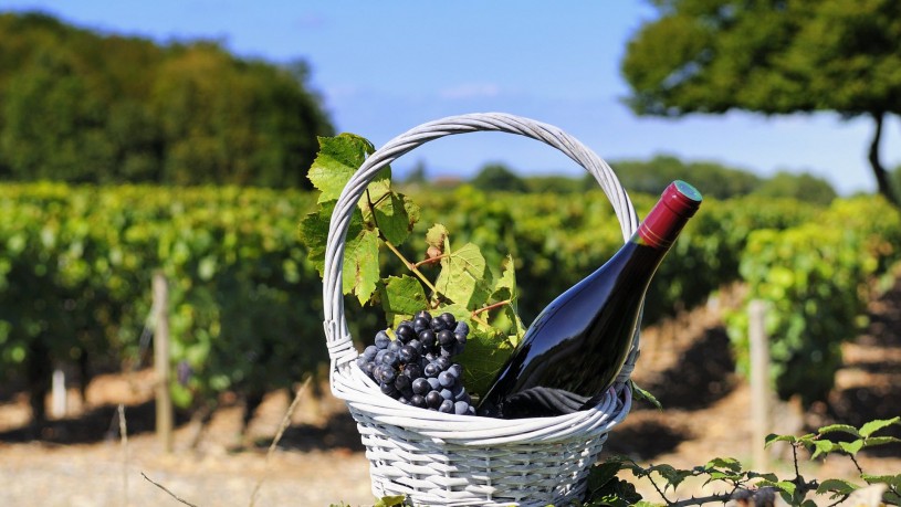 Turismul viticol românesc începe să își scrie povestea