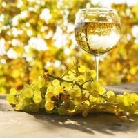 Vinul alb – gamă sortimentară