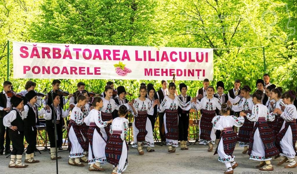 Sărbătoarea liliacului de la Ponoarele și parfumul iubirii