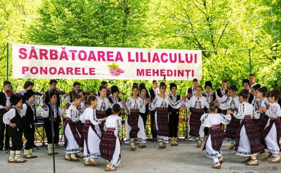 Sărbătoarea-liliacului-de-la-Ponoarele-și-parfumul-iubirii-1-900x555 Sărbătoarea liliacului de la Ponoarele și parfumul iubirii 1