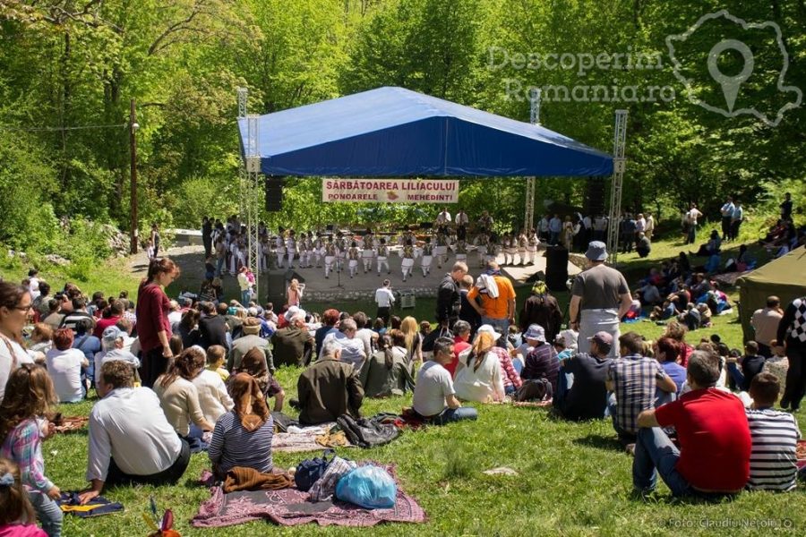 Sărbătoarea-liliacului-de-la-Ponoarele-și-parfumul-iubirii-4-900x600 Sărbătoarea liliacului de la Ponoarele și parfumul iubirii 4