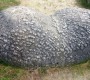 Trovanti-12-90x80 Trovanţi - misterul pietrelor vii