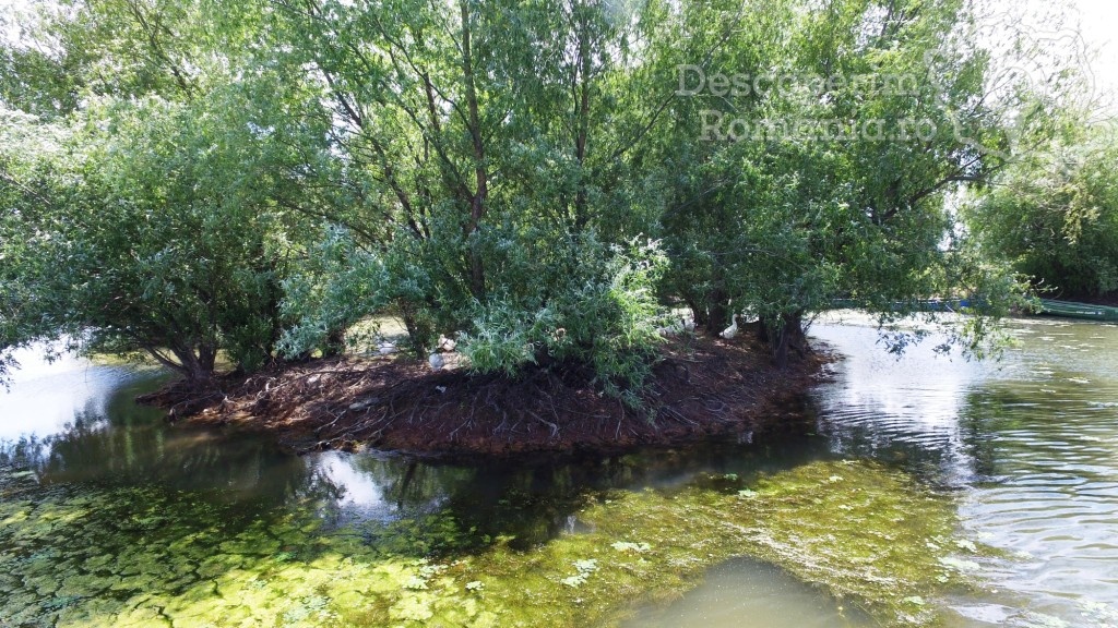 Casa de vacanta Grig - Mila 23 - Tulcea - Delta Dunarii - DescoperimRomania.ro