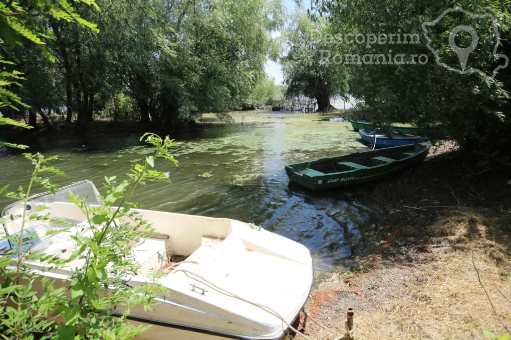 Casa de vacanta Grig - Mila 23 - Tulcea - Delta Dunarii - DescoperimRomania.ro