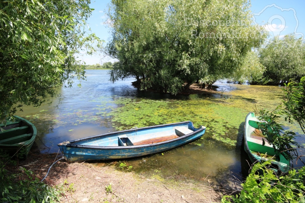 Casa de vacanta Grig - Mila 23 - Tulcea - Delta Dunarii - DescoperimRomania.ro