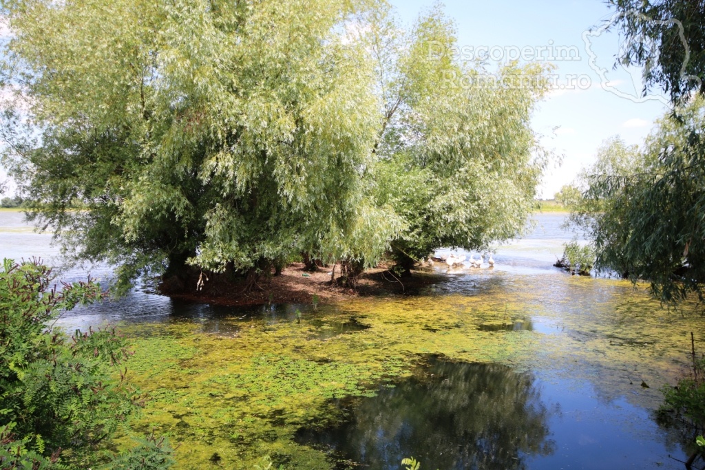 Casa de vacanta Grig - Mila 23 - Tulcea - Delta Dunarii - DescoperimRomania.ro