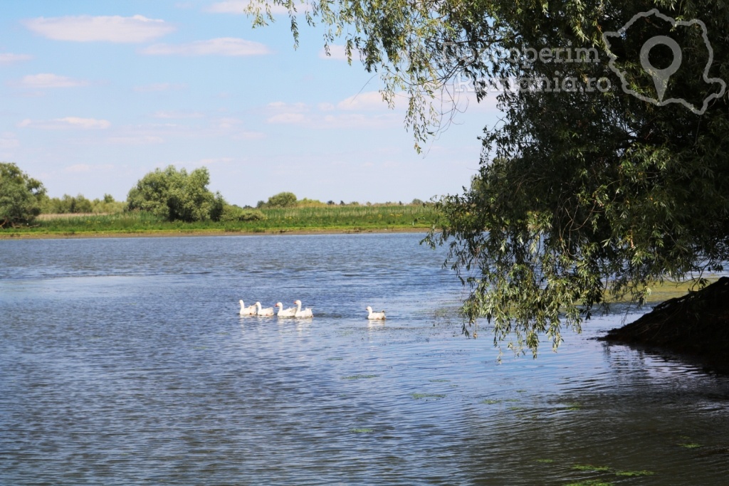 Casa de vacanta Grig - Mila 23 - Tulcea - Delta Dunarii - DescoperimRomania.ro