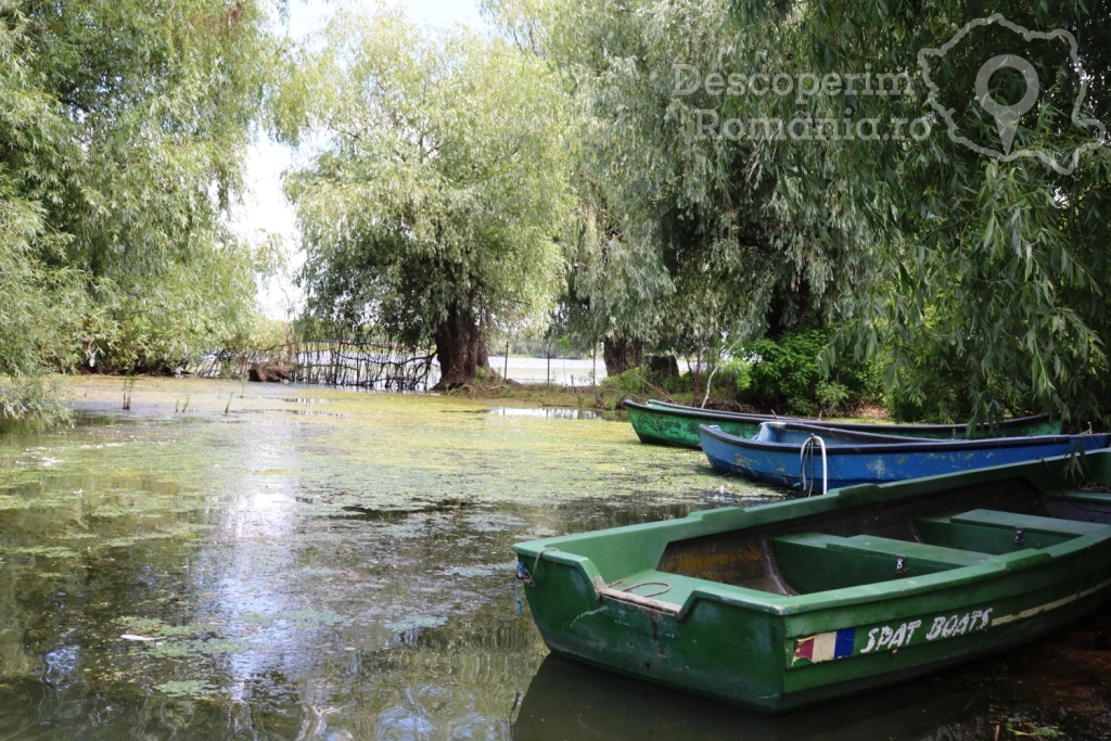 Casa de vacanta Grig - Mila 23 - Tulcea - Delta Dunarii - DescoperimRomania.ro