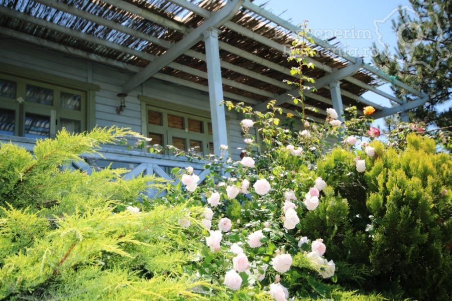 Cazare-la-Delta-Nature-Resort-din-Somova-Delta-Dunarii-Tulcea-DescoperimRomania-105-900x600 Cazare la Delta Nature Resort din Somova - Delta Dunarii - Tulcea - DescoperimRomania (105)