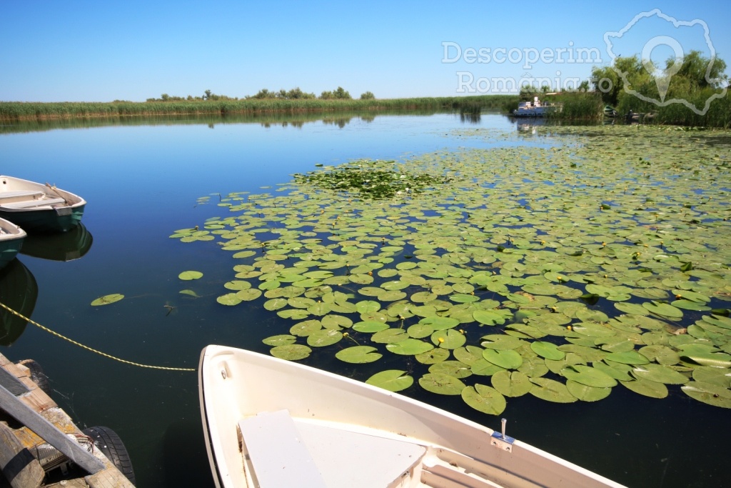 Cazare la Delta Nature Resort din Somova - Delta Dunarii - Tulcea - DescoperimRomania.ro