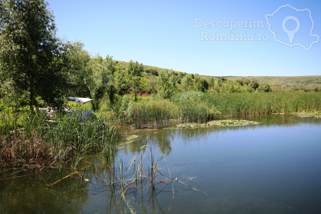 Cazare la Delta Nature Resort din Somova - Delta Dunarii - Tulcea - DescoperimRomania.ro