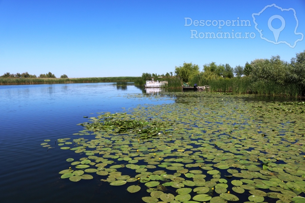 Cazare la Delta Nature Resort din Somova - Delta Dunarii - Tulcea - DescoperimRomania.ro