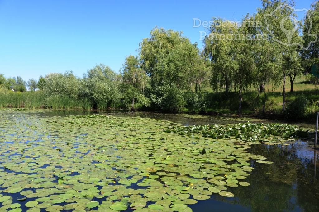 Cazare la Delta Nature Resort din Somova - Delta Dunarii - Tulcea - DescoperimRomania.ro