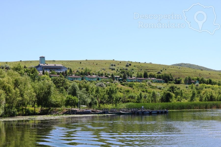 Cazare-la-Delta-Nature-Resort-din-Somova-Delta-Dunarii-Tulcea-DescoperimRomania-130-900x600 Cazare la Delta Nature Resort din Somova - Delta Dunarii - Tulcea - DescoperimRomania (130)