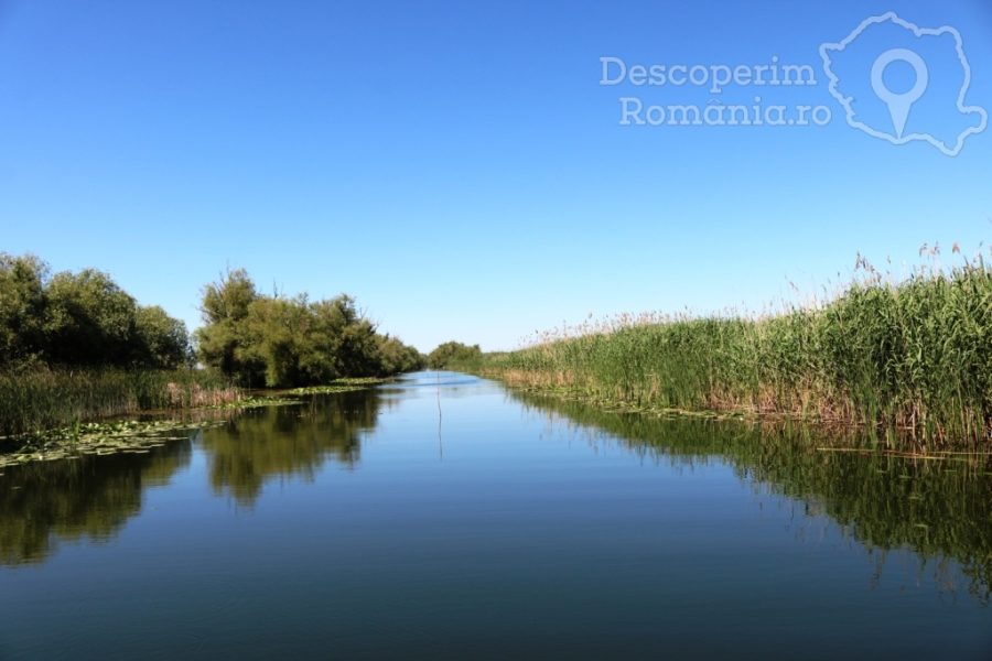 Cazare-la-Delta-Nature-Resort-din-Somova-Delta-Dunarii-Tulcea-DescoperimRomania-131-900x600 Cazare la Delta Nature Resort din Somova - Delta Dunarii - Tulcea - DescoperimRomania (131)