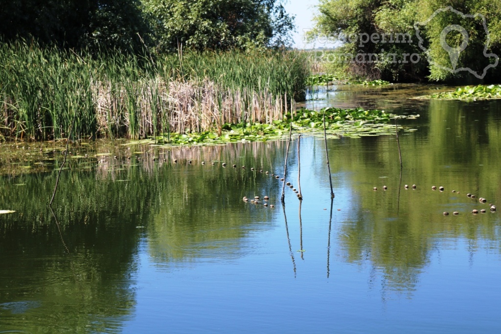 Cazare la Delta Nature Resort din Somova - Delta Dunarii - Tulcea - DescoperimRomania.ro