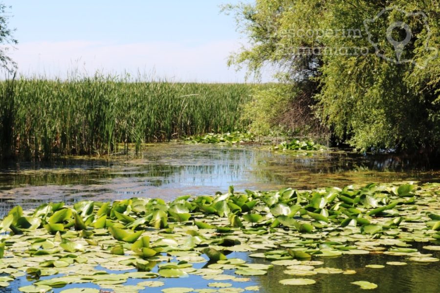 Cazare-la-Delta-Nature-Resort-din-Somova-Delta-Dunarii-Tulcea-DescoperimRomania-133-900x600 Cazare la Delta Nature Resort din Somova - Delta Dunarii - Tulcea - DescoperimRomania (133)