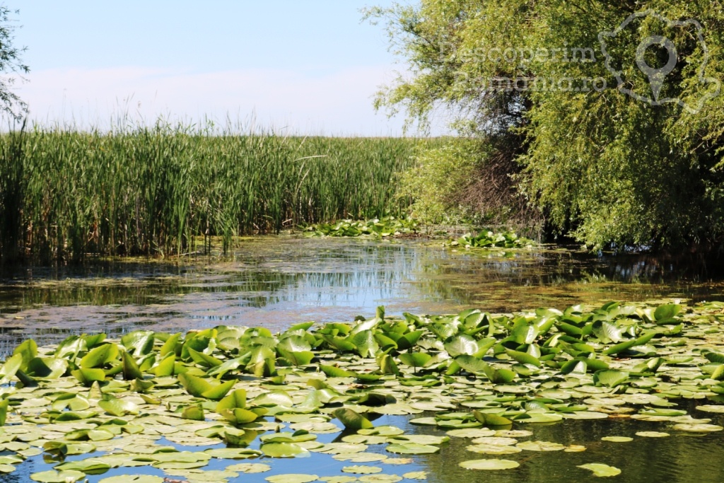 Cazare la Delta Nature Resort din Somova - Delta Dunarii - Tulcea - DescoperimRomania.ro