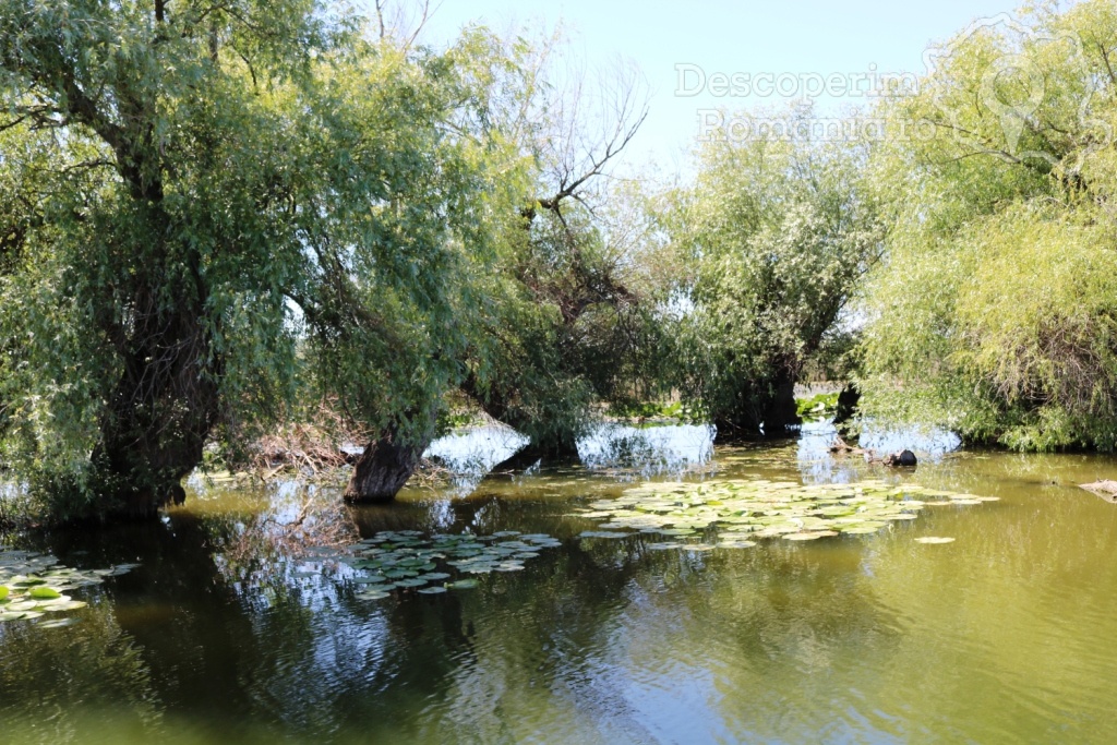 Cazare la Delta Nature Resort din Somova - Delta Dunarii - Tulcea - DescoperimRomania.ro