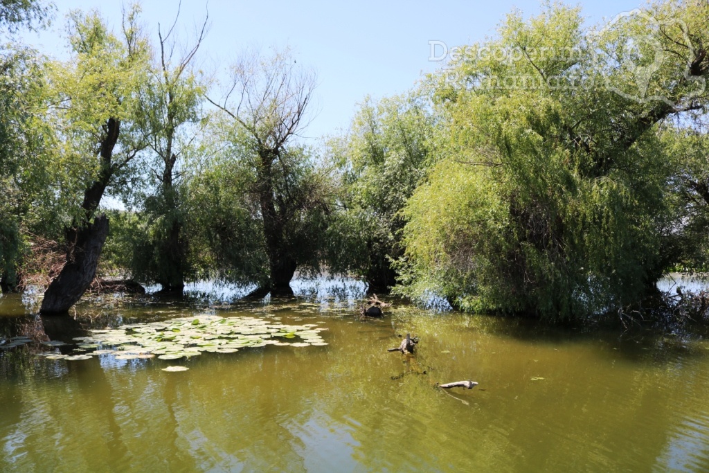 Cazare la Delta Nature Resort din Somova - Delta Dunarii - Tulcea - DescoperimRomania.ro