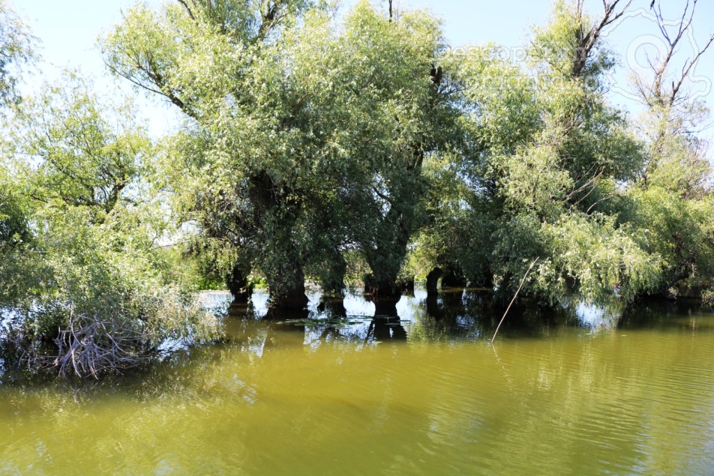 Cazare la Delta Nature Resort din Somova - Delta Dunarii - Tulcea - DescoperimRomania.ro