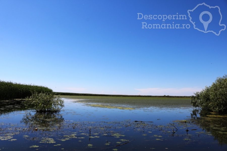 Cazare-la-Delta-Nature-Resort-din-Somova-Delta-Dunarii-Tulcea-DescoperimRomania-139-900x600 Cazare la Delta Nature Resort din Somova - Delta Dunarii - Tulcea - DescoperimRomania (139)