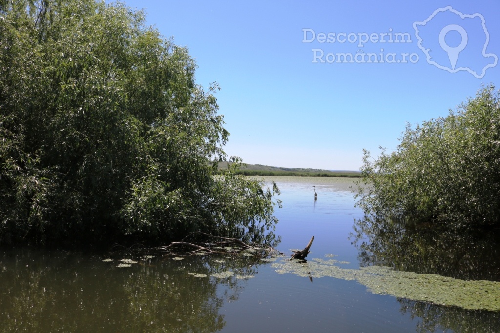 Cazare la Delta Nature Resort din Somova - Delta Dunarii - Tulcea - DescoperimRomania.ro