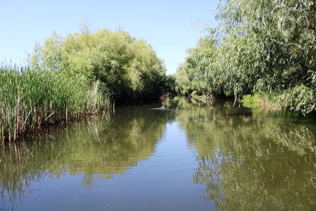 Cazare la Delta Nature Resort din Somova - Delta Dunarii - Tulcea - DescoperimRomania.ro