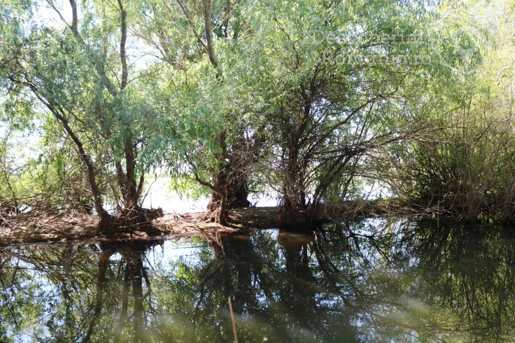 Cazare la Delta Nature Resort din Somova - Delta Dunarii - Tulcea - DescoperimRomania.ro