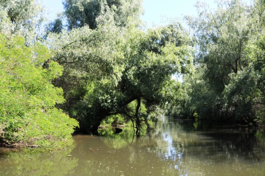 Cazare-la-Delta-Nature-Resort-din-Somova-Delta-Dunarii-Tulcea-DescoperimRomania-145-900x600 Cazare la Delta Nature Resort din Somova - Delta Dunarii - Tulcea - DescoperimRomania (145)