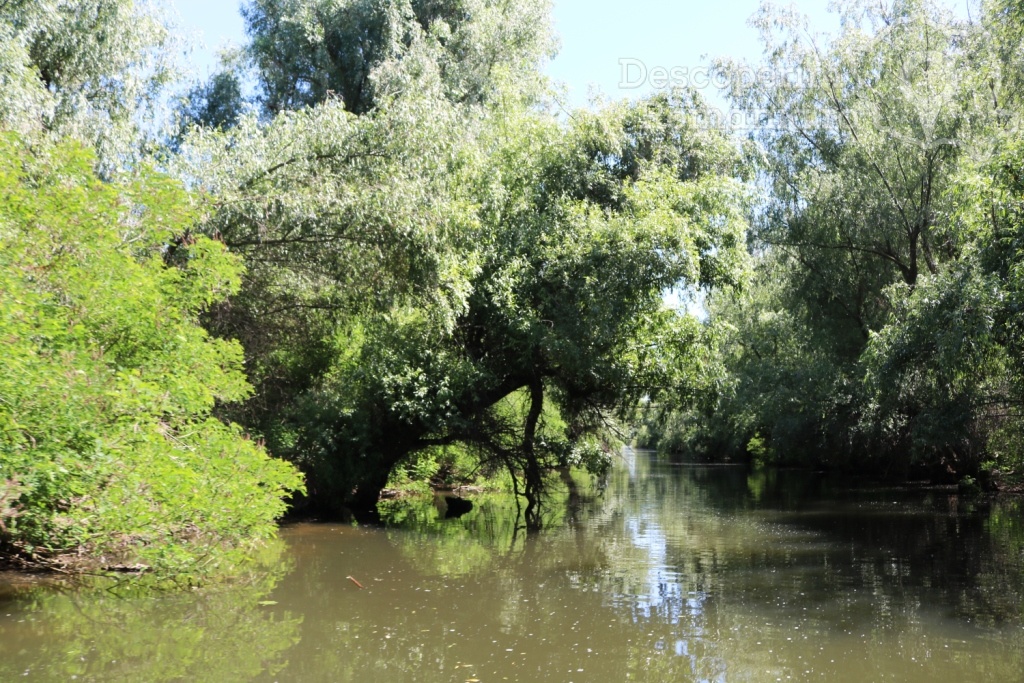 Cazare la Delta Nature Resort din Somova - Delta Dunarii - Tulcea - DescoperimRomania.ro