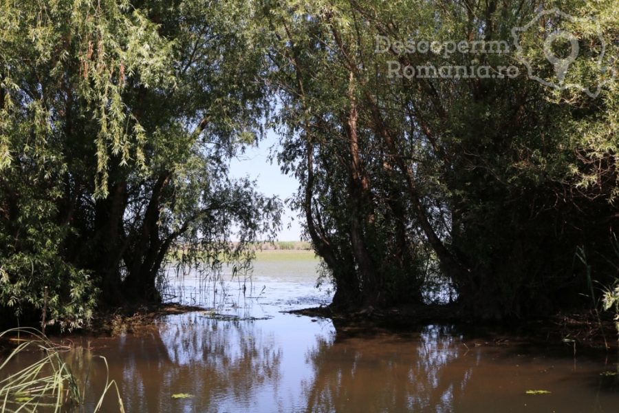 Cazare-la-Delta-Nature-Resort-din-Somova-Delta-Dunarii-Tulcea-DescoperimRomania-146-900x600 Cazare la Delta Nature Resort din Somova - Delta Dunarii - Tulcea - DescoperimRomania (146)