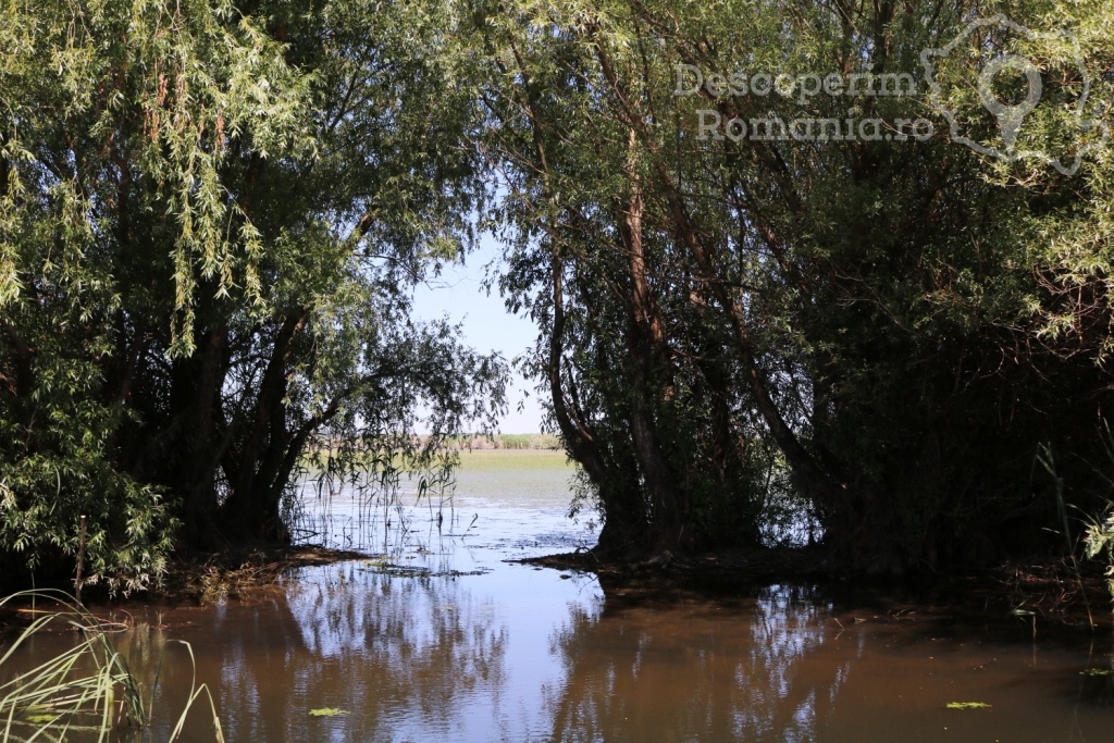 Cazare la Delta Nature Resort din Somova - Delta Dunarii - Tulcea - DescoperimRomania.ro