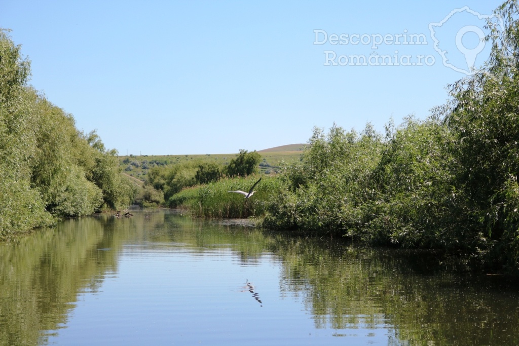 Cazare la Delta Nature Resort din Somova - Delta Dunarii - Tulcea - DescoperimRomania.ro