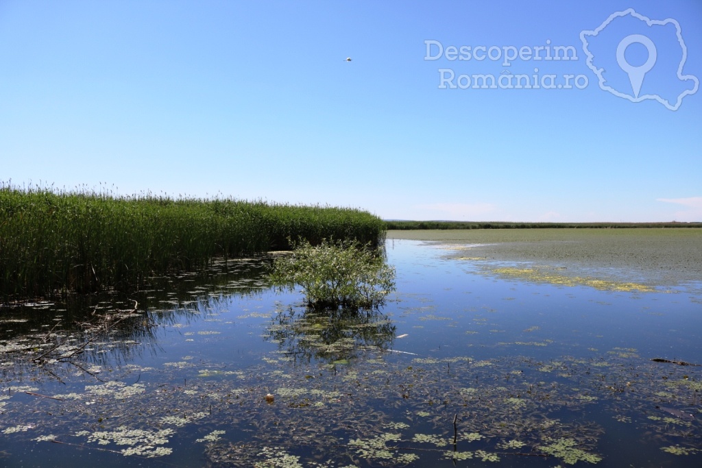 Cazare la Delta Nature Resort din Somova - Delta Dunarii - Tulcea - DescoperimRomania.ro