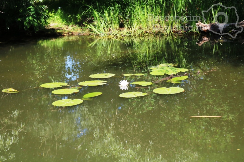 Cazare la Delta Nature Resort din Somova - Delta Dunarii - Tulcea - DescoperimRomania.ro