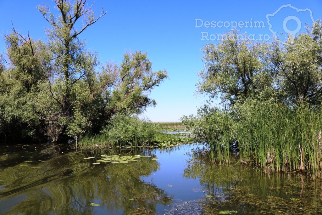 Cazare la Delta Nature Resort din Somova - Delta Dunarii - Tulcea - DescoperimRomania.ro