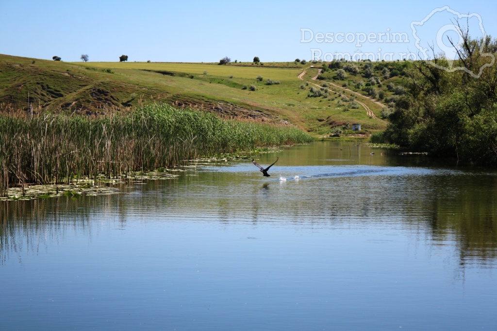 Cazare la Delta Nature Resort din Somova - Delta Dunarii - Tulcea - DescoperimRomania.ro