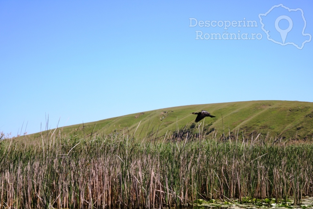 Cazare la Delta Nature Resort din Somova - Delta Dunarii - Tulcea - DescoperimRomania.ro