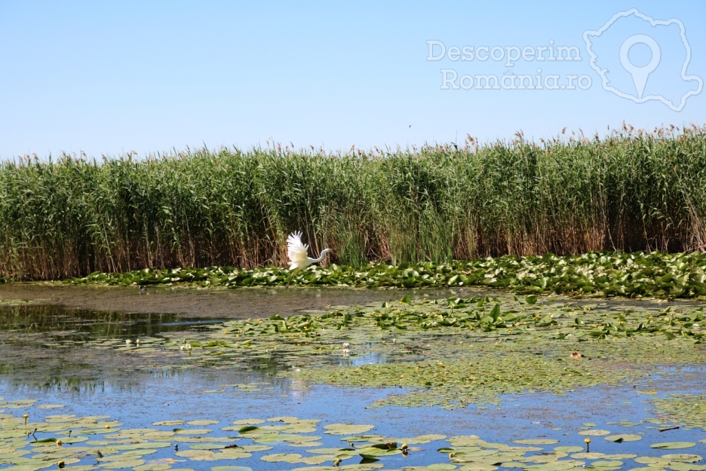 Cazare la Delta Nature Resort din Somova - Delta Dunarii - Tulcea - DescoperimRomania.ro