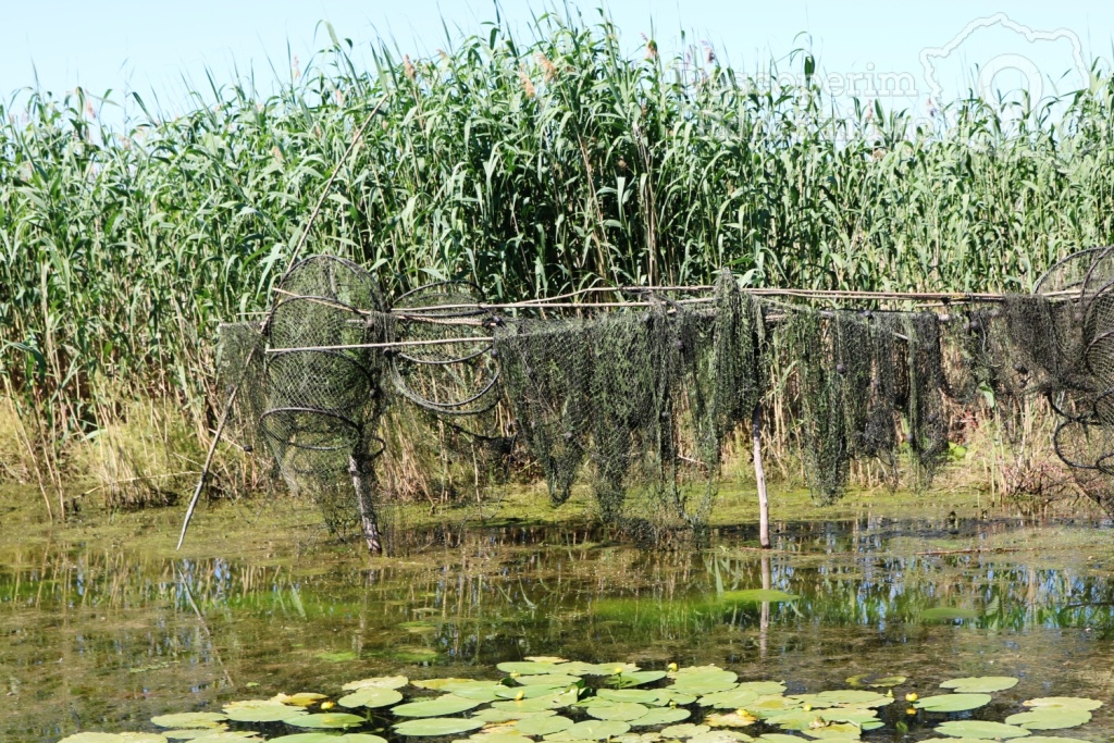 Cazare la Delta Nature Resort din Somova - Delta Dunarii - Tulcea - DescoperimRomania.ro